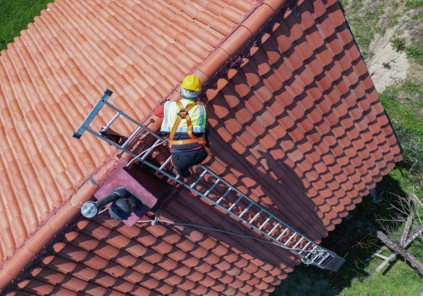 Best Green or Eco-Friendly Roofing Solutions  in Brookdale, SC